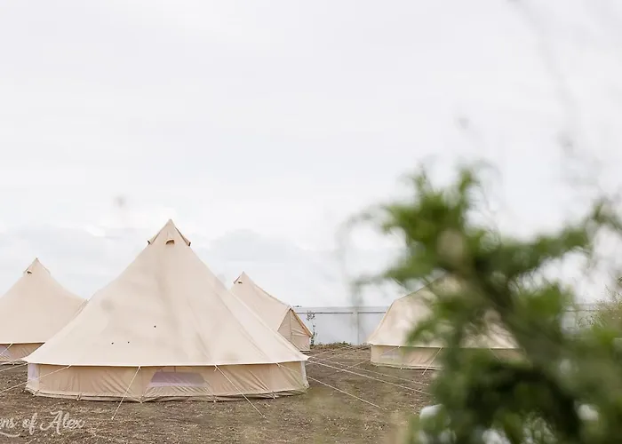 Faleza23 Lyxtält Olimp